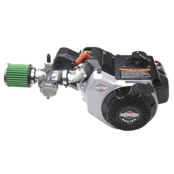 Briggs & Stratton World Formula