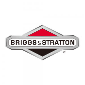 Briggs & Stratton