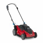 Toro 60V MAX* 21 in. (53 cm) Stripe® Battery Push, 4.0Ah (21611)