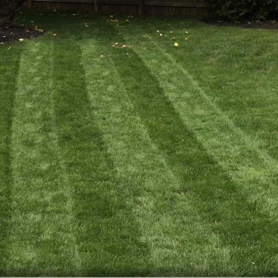 Toro 60V MAX* 21 in. (53cm) Stripe® Push Lawn Mower - Battery Not Included (21611T)