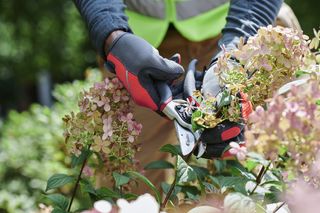 Hand Pruner - Technical