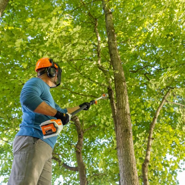 STIHL HTA 50