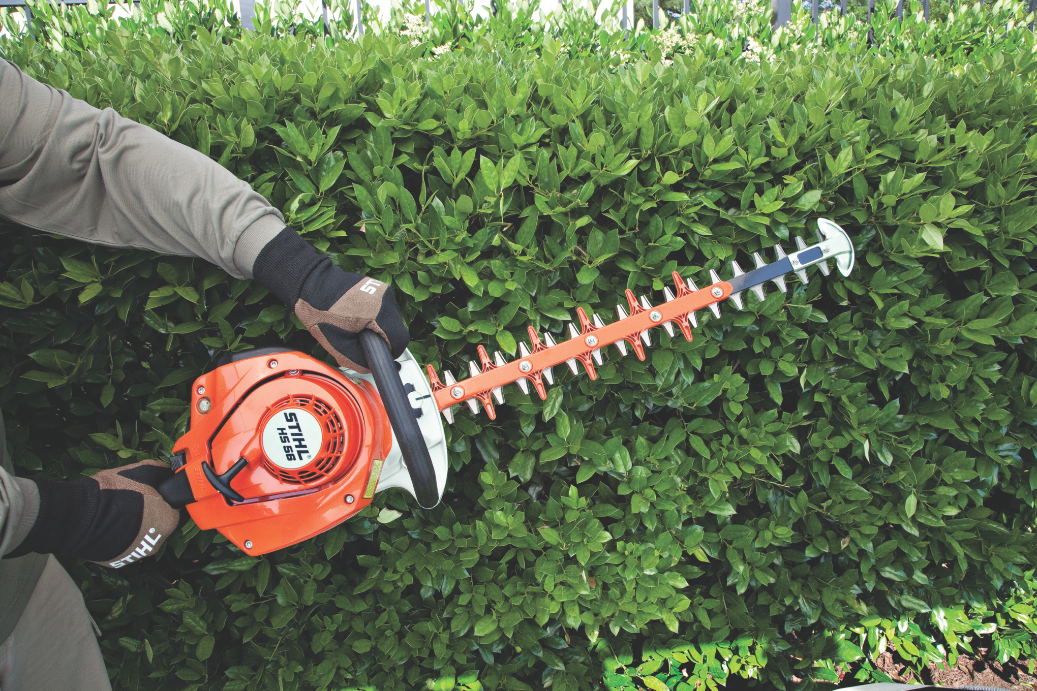 STIHL HS 56 Gasoline Hedge Trimmer